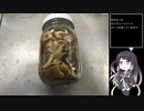 珍食材が食べたい！#11　サクラシメジのキノコ蕎麦
