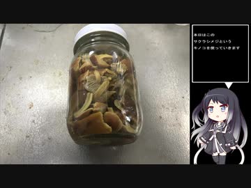 珍食材が食べたい！#11　サクラシメジのキノコ蕎麦