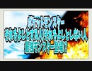 ポケットモンスター それをよしとする人/それをよしとしない人 最強モンスター登場!?