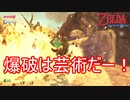 爆破は芸術だぁ！　ゼルダの伝説スカイウォードソードHD実況プレイPart9