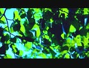 Overgrown Green
