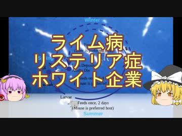ゆっくり感染症講座[ライム病等]