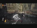 【ダークソウル3】働かなイーゴン【9-5回目】