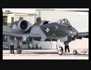 A-10サンダーボルト「BLACKSNAKE」