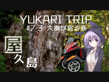 YUKARITRIP #7-3 【大樹が宿る島】