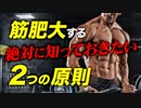 筋肉を効率よく大きくするためのトレーニングの2つの原則【ビーレジェンド プロテイン】