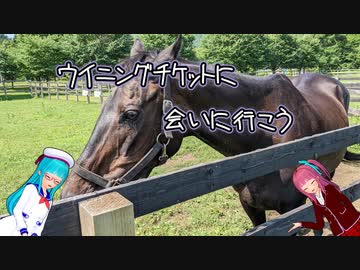 【VOICEROID解説】ウイニングチケットに会いに行こう【競馬】