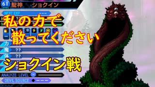 真・女神転生DSJ：愚かな犬？