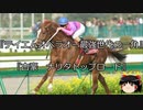 【競馬】ゆっくりさんと未来に語り継ぎたい名馬たち その038【ゆっくり朗読】