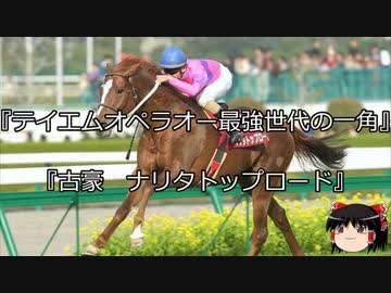 【競馬】ゆっくりさんと未来に語り継ぎたい名馬たち その038【ゆっくり朗読】