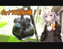 紲星農園「丸ナス編」Part3