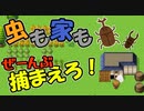 夏だ！虫取りだ！網を片手に世界をこの手に捕まえろ【ミンミンゼミとなつやすみ】