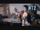 【実況】あー無性に尊い#12【Life Is Strange】