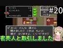 #20【女性実況】ドラゴンクエスト2で癒される！密売人と取引しました【DQ2】