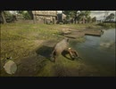 【RDR2】イノシシ町に行ってみる【MOD】