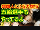 ゆっくり雑談 396回目(2021/8/3) 1989年6月4日は天安門事件の日 済州島四・三事件 保導連盟事件 ライダイハン コピノ コレコレア
