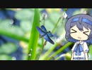 【CeVIO写真】今日も写真でのんびり雑談＿75枚目【宝石のようなチョウトンボ】
