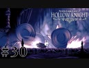 虫嫌いが行く昆虫王国冒険譚 #30【Hollow Knight】