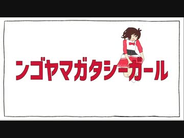 ンゴヤマガタシーガール