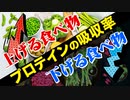プロテイン（たんぱく質）の吸収効率を上げる食べ物と下げる食べ物【ビーレジェンド プロテイン】