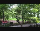 隠れパワースポット「九品仏浄真寺」阿弥陀如来たちがアナタを幸せにする！