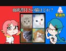 【一流の常識力～一般人格付けチェック～】私達、常識力の塊なんで【Part3】