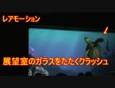 【レアモーション】展望室のガラスを叩くクラッシュ【タートルトーク】東京ディズニーシー