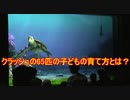 クラッシュの65匹の子どもの育て方とは？【タートルトーク】東京ディズニーシー