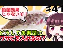 【訂正前の動画です、訂正版は概要欄リンクより】