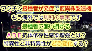 ワクチン接種者が感染源そして変異株製造機...ＡＤＥ発症で体内に起こる変化で何が恐ろしいのか？