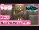 【ポケモン剣盾/DLC2冠の雪原】ポケモン好きが、初めて種族値・個体値を意識し冒険！【実況】#59