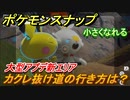 ポケモンスナップ　カクレ抜け道の行き方は？大型アプデ新エリア！小さくなれる！【New ポケモンスナップ】