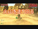 神殿のカギを探すため走り回る　ゼルダの伝説スカイウォードソードHD実況プレイPart10