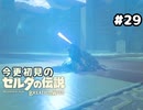 【ゼルダの伝説ブレスオブザワイルド】ダメだ、逃げよう！【実況プレイ】#29