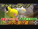ポケモンスナップ　大型アプデ追加エリア　カクレ抜け道　調査レベル１（昼）【New ポケモンスナップ】