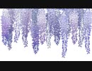春の雪 / kvold