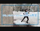 【NoiZoo】チルノのパーフェクトさんすう教室【踊ってみた】