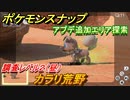 ポケモンスナップ　アプデ情報　新エリア・ポケモン追加　カラリ荒野　調査レベル２（昼）【New ポケモンスナップ】