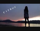 【低音女子が歌ってみた】CITRUS【tone】