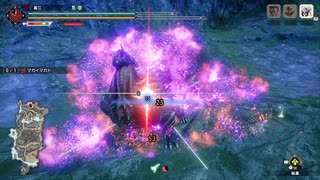 【MHRise】集会所7マガイマガド双剣 03’59”71 TA wiki rules