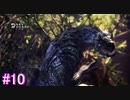 【MHW】モンスターハンター：ワールド 実況プレイ part10
