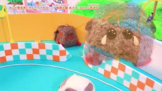 壁に突っ込んで泣くテディ　5分耐久