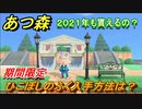 あつまれどうぶつの森　ひこぼしのふく入手方法は？２０２１年も入手可能？　【あつ森】