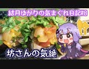 結月ゆかりと謎のトルコ料理再び【坊さんの気絶】