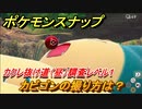 ポケモンスナップ　カビゴンの撮り方は？　カクレ抜け道　調査レベル１（昼）　最新アプデ追加エリア【New ポケモンスナップ】