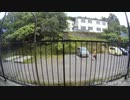 オオガメ（男）うろつきチャレンジ