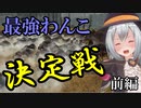 【Total War:WARHAMMER Ⅱ】第二次ラボラトリー大戦（最強犬決定戦）【夜のお兄ちゃん実況】