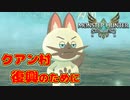 【モンハンストーリーズ2】実況プレイPart16モンスターハンターストーリーズ2 ～破滅の翼～』モンスターを育成するRPG【MHST2】