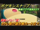 ポケモンスナップ　カクレ抜け道分岐ルートは？　調査レベル１（昼）　最新アプデ追加エリア探索【New ポケモンスナップ】