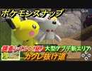 ポケモンスナップ　大型アプデ新エリア　カクレ抜け道　調査レベル１（昼）【New ポケモンスナップ】